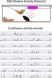 Through constant decay packs by jam sutton. Rodent Activity Detector Rad An Open Source Device For Measuring Activity In Rodent Home Cages Eneuro
