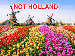Import of currency in the netherlands is permitted in anysize. Holland And The Netherlands Can No Longer Be Used Interchangeably
