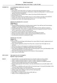 Modeling Analyst Resume Samples Velvet Jobs