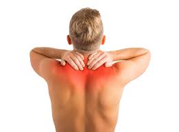 The pain usually results from problems with the musculoskeletal system—most notably the spine, including the bones of the spine (back bones, or vertebrae), disks, and the muscles and ligaments that support it. What To Do For A Pulled Back Muscle 8 Early Signs And Symptoms