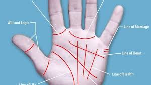 Palm reading or palmistry is the art of reading palms to learn more about your life, fate, and character. Palmistry Hand Lines In Palm Reading The State