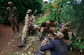 During this period of around 100 days, members of the tutsi minority ethnic group, as well as some moderate hutu, were slaughtered by armed militias.the most widely accepted scholarly estimates are around 800,000 to 1,000,000 tutsi deaths. America S Secret Role In The Rwandan Genocide Rwanda The Guardian