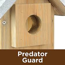More delivery & pickup options. Natures Way Bird Products 066572 Wwgh3 Galvanized Weathered Cedar Bluebird House Patio Lawn Garden Birds Guardebem Com