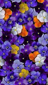 Pin On Flowers Wallpaper