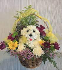 Free for commercial use no attribution required high quality images. Bloomers Puppy Basket Bouquet In St Louis Mo Bloomers In St Louis