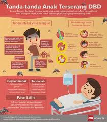 Pin Di Cnn Infografis