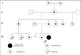 Pedigree Of The Family Download Scientific Diagram