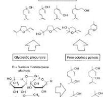 Terpene - an overview | ScienceDirect Topics