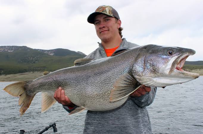 Trophy Lake Trout - Fish Nation