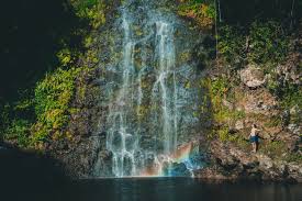 Waimea valley oahu waimea falls. 17 Best Oahu Hikes From Waterfalls To Coastal Views