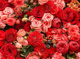 Ut uron 8 marsin diten nderkombetare te gruas. Dhurata Shtepi Per 8 Mars Me Duart E Tyre Dhurata Per Jeten E Perditshme