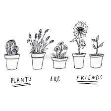 Cactus | tumblr download latest black background for smartphones 2019. Plants Are Friends Sticker By Jellyelly In 2021 Plants Are Friends Drawings Of Friends Plants