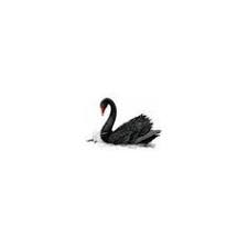 Black And White Swan Tattoo Pin By Stephanie Breland On Tattoos Black Swan Tattoo Swan Tattoo Black Swan