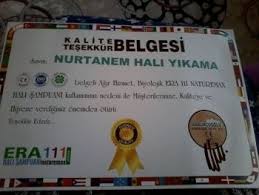 Hali Yikama Panosundaki Pin