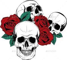 Human Skull With Roses On White Background Skulls And Roses Skull Human Skull