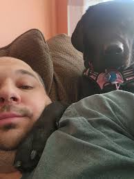 Schnauzer Owners' Experiences with Their Pets