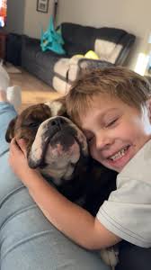 Lost mini aussie mix near winding way