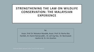 The three regions follow separate laws: Http Irep Iium Edu My 57217 1 Cebu 20maizatun 202017 Pdf