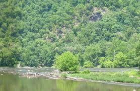 Maybe you would like to learn more about one of these? State Parks In Virginia Best Campgrounds Hipcamp