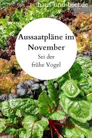 Aussaatplane Im November Sei Der Fruhe Vogel Haus Und Beet Pflanzen Gemusebeet Gartenarbeit