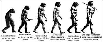 Der neandertaler (homo neanderthalensis) trat etwa vor 200.000 bis 30.000 jahren im jungpleistozän, auch oberes pleistozän oder spätpleistozän genannt, in erscheinung. Die Evolution Des Menschen