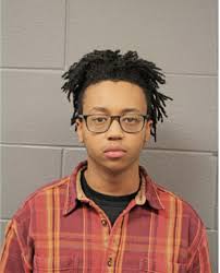 ᐅ Illinois Criminal Records 2009-2025