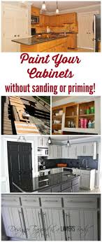 How To Paint Kitchen Cabinets Without Sanding Or Priming Step By Step In 2020 Kitchen Cabinets Painting Kitchen Cabinets Kitchen Renovation