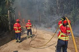 The present mayor is joão lobo. Bombeiros Feridos Em Combate Ao Incendio De Proenca A Nova Estao Estaveis Healthnews