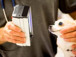 A wide variety of woods lamp colors options are available to you, such as material, warranty(year), and application. Wood S Lamp Examination Purpose Procedure Results