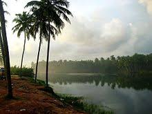 41 of them flow westward and 3 eastward. Kerala Backwaters Wikipedia