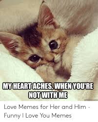 Enjoy the meme 'you are amazing' uploaded by the_lonewanderer. 25 Best Memes About I Love U Memes For Her I Love U Memes For Her Memes
