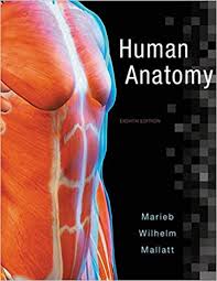 An illustrated anatomy in pdf or epub format and read it directly on your mobile phone, computer or any device. Download Pdf Human Anatomy 8th Edition Full Pdf Online By Charlotteduran Feb 2021 Medium