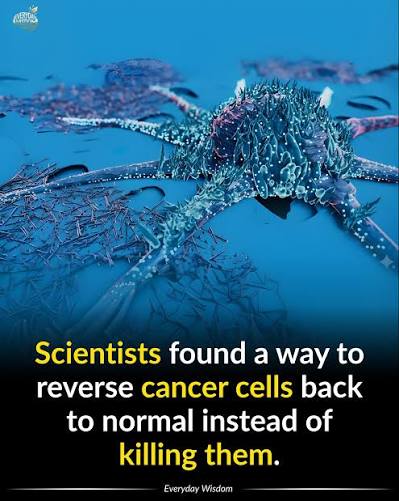 Cancer treatment