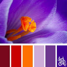These are rare colors as many mixes of red and white are perceived as pink.pale red is also rare in nature and is associated with red colored woods, soil, bricks and foods such as salmon. Color Palette Red Orange Lilac Purple Sarah Renae Clark Coloring Book Artist And Designer