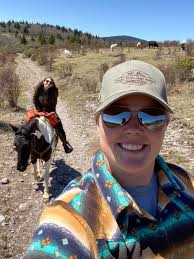 Wild ponies and scenic views near Damascus, VA