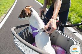 Bike Carrier For Dogs Atlas Bike By Ferplast With Safety Belt Dog Bike Carrier Biking With Dog Dog Bike Basket