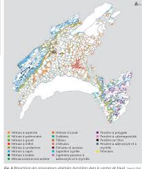 La carte est crée par des gens comme vous. Pdf L Ecosysteme Forestier Du Canton De Vaud Un Pays Quatre Regions The Forest Ecosystem In Canton Vaud One Territory Four Regions Semantic Scholar
