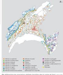 Canton de vaud par type d'hôtel. Figure 3 From L Ecosysteme Forestier Du Canton De Vaud Un Pays Quatre Regions The Forest Ecosystem In Canton Vaud One Territory Four Regions Semantic Scholar