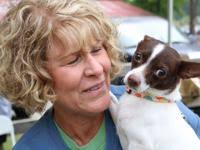 Jonesboro Rejects Funding Request From JHA For Multi-family development