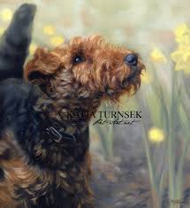 ↑ black and tan — noun an english recruit (who wore a uniform that was black and tan) serving in the irish constabulary to suppress the sinn fein rebellion. Welsh Terrier Colors