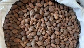 Contact bahulu kembang semangkuk on messenger. 80 Ton Buah Tempayang Asal Sumut Tembus 3 Negara