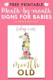 Floral Month Signs For Baby Pictures Six Clever Sisters Baby Milestone Cards Printable Month Signs Baby Milestone Cards