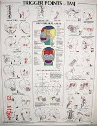 Free Printable Reflexology Charts Aches And Pains Nerve