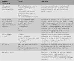 Appliances, bathroom decorating ideas, kitchen remodeling, patio furniture, power tools, bbq grills, carpeting, lumber, concrete, lighting, ceiling fans and more at the home depot. Geneticsof Sleep And Circadian Rhythms Section 2 The Genetic Basis Of Sleep And Sleep Disorders