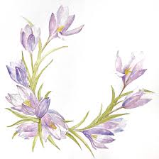 Watercolor crocus | crocus painting. Original Watercolor Crocus Flower 8 5x11 Priscilla Jo