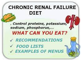 In 2004, the acute dialysis quality initiative (adqi). Plant Based Diet For Chronic Kidney Disease Botanical Online