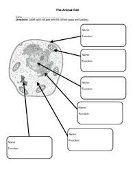 Maybe you would like to learn more about one of these? Labels For Animal Cell Worksheets Teaching Resources Tpt