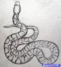 Pin By Anna On Draw Tools Inspiration Process Snake Drawing Snake Painting Snake Art