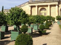 5 out of 5 stars (778) $ 5.72. Caisse De Versailles Planters Authentic Provence Blog