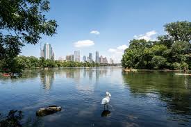 Maybe you would like to learn more about one of these? Lake And Landscape And Austin Skyline Texas Image Free Stock Photo Public Domain Photo Cc0 Images